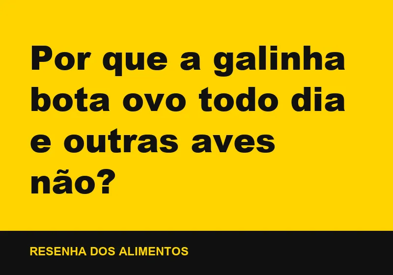 Por que a galinha bota ovo todo dia e outras aves não?